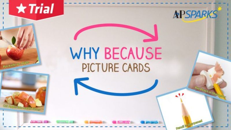 apsparks_why-because-picture-cards-636x358